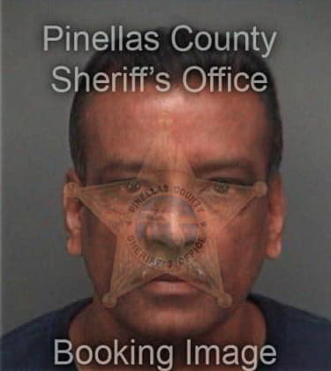 Steven Langley, - Pinellas County, FL 