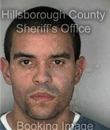 Sean McCarter - Hillsborough County, FL 