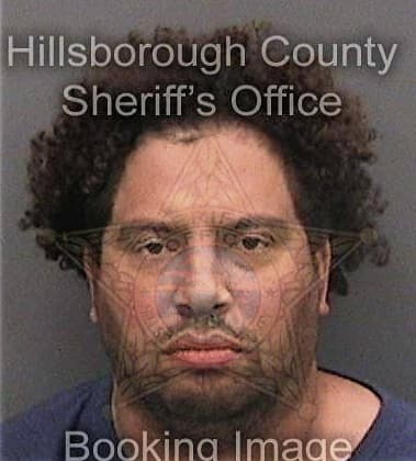Richard Robb - Hillsborough County, FL 