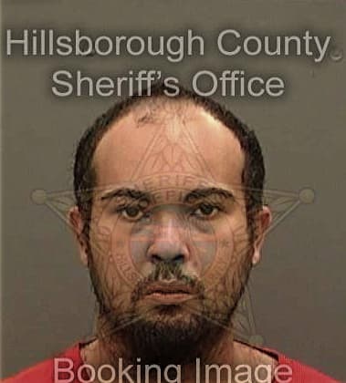 William Sierra, - Hillsborough County, FL 