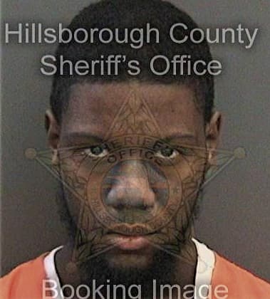 Lee Tolliver, - Hillsborough County, FL 