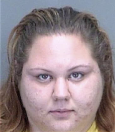 Chrisanne Borgeson, - Pinellas County, FL 