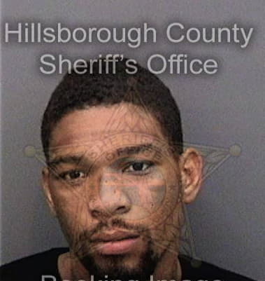 Dramontae Lee, - Hillsborough County, FL 