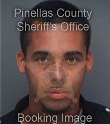 Sebastian Nicolas, - Pinellas County, FL 