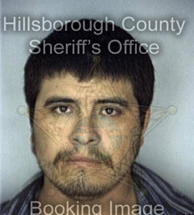 Filemon Velasquez, - Hillsborough County, FL 