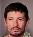 Salvador Bautistasilva - Multnomah County, OR 