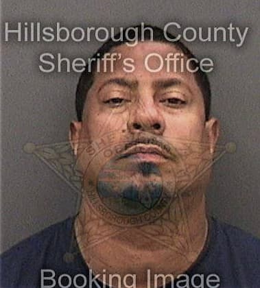 Quinton Cole - Hillsborough County, FL 