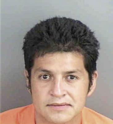 Jose Gonzalez, - Collier County, FL 