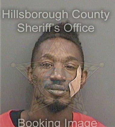 David Hunter, - Hillsborough County, FL 