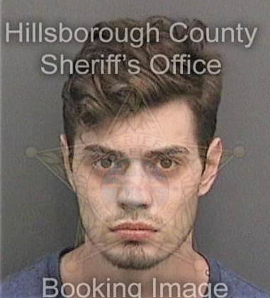 Donald Kiss, - Hillsborough County, FL 