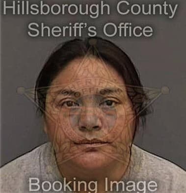 Diana McMichael - Hillsborough County, FL 