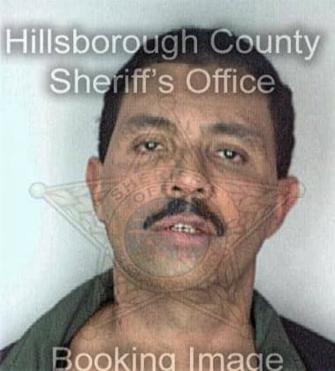 Ian Miller - Hillsborough County, FL 