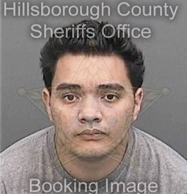 Kenneth Newsome, - Hillsborough County, FL 