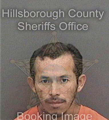 Michael Oldham, - Hillsborough County, FL 