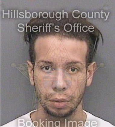 Carl Owens, - Hillsborough County, FL 