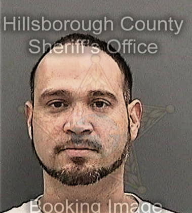 Fausto Restrepogutierrez, - Hillsborough County, FL 