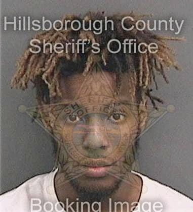 Marlon Aziz, - Hillsborough County, FL 