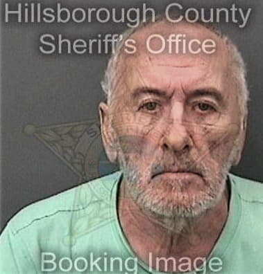 Irving Chavezramirez - Hillsborough County, FL 