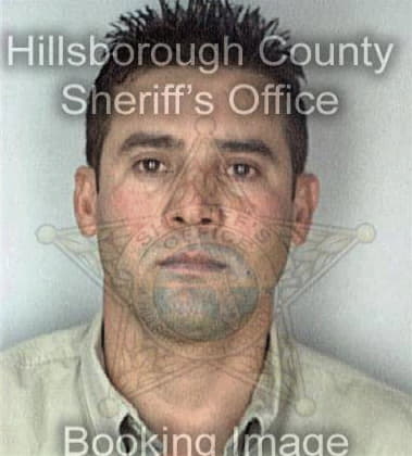 David Cleveland - Hillsborough County, FL 