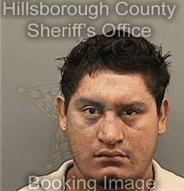 Jorge Floreslumas, - Hillsborough County, FL 