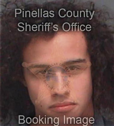 Richard Nowakowski, - Pinellas County, FL 