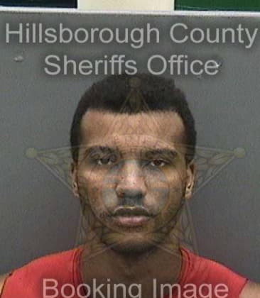 Ramon Ortiz, - Hillsborough County, FL 