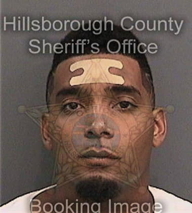 Ricardo Perez, - Hillsborough County, FL 