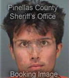 Damian Brown, - Pinellas County, FL 