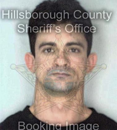 Anthony Combs, - Hillsborough County, FL 