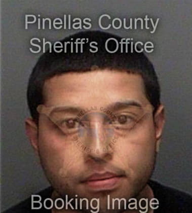 Rolando Delaragarcia, - Pinellas County, FL 