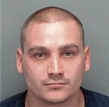 Steven Gallippi, - Pinellas County, FL 