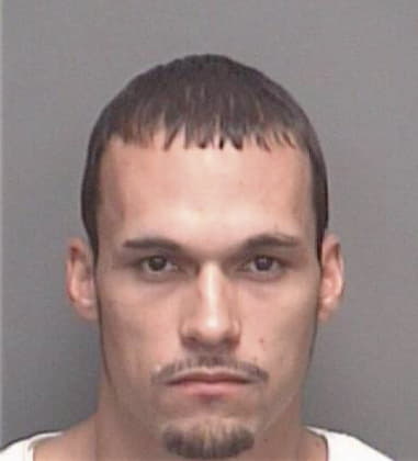 Octavio Palacios, - Pinellas County, FL 