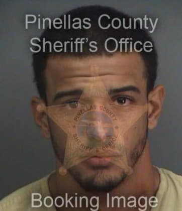 William Smith - Pinellas County, FL 
