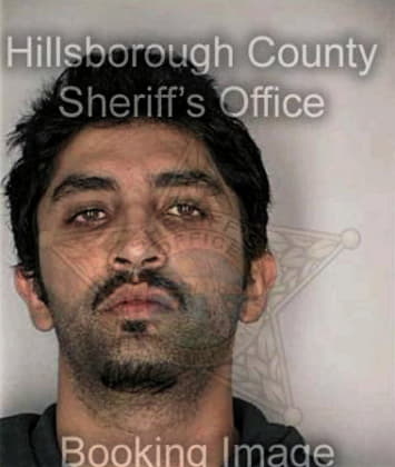 Ibrahim Alashker, - Hillsborough County, FL 