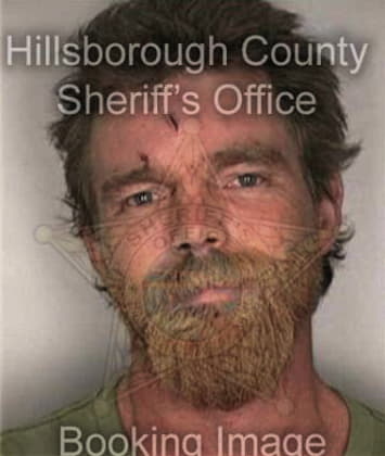 Michael Alessandrini, - Hillsborough County, FL 