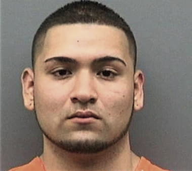 Emiliano Cruzguzman, - Hillsborough County, FL 