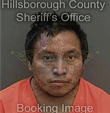 Manuel Lopezzolo, - Hillsborough County, FL 