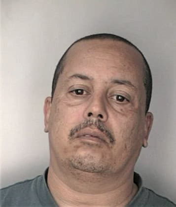 Michael Mehegan - Hillsborough County, FL 