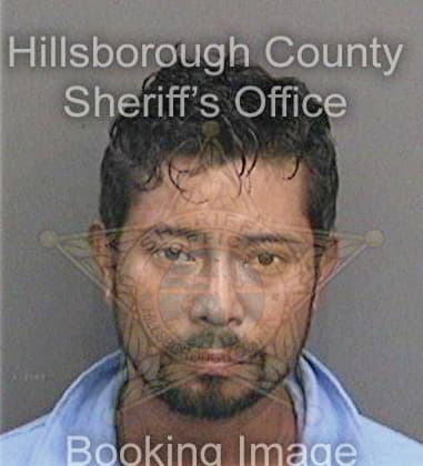 Nicolas Ortizcoronel, - Hillsborough County, FL 