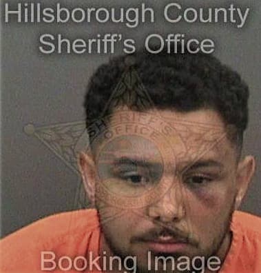 Reynaldo Utrera-Viera, - Hillsborough County, FL 