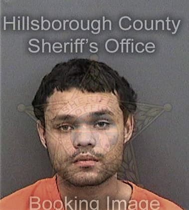 Reynaldo Carlos, - Hillsborough County, FL 