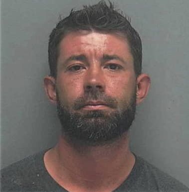 Alexander Kulcsar, - Lee County, FL 