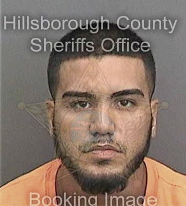 Pompilio Gonzalez - Hillsborough County, FL 