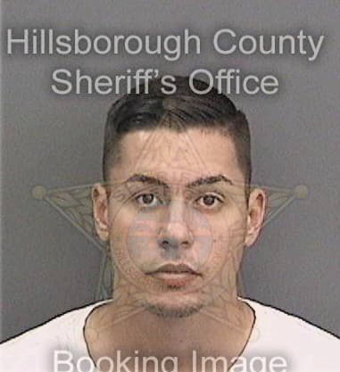 Anthony Lamanna, - Hillsborough County, FL 