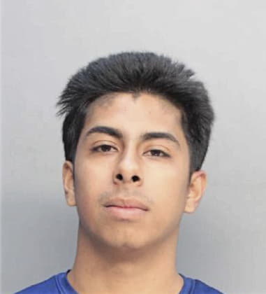 Carlos Palma, - Dade County, FL 