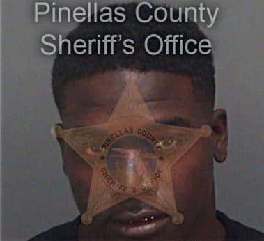 Kirk Williams, - Pinellas County, FL 