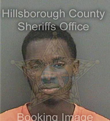 Nicholas Williams, - Hillsborough County, FL 