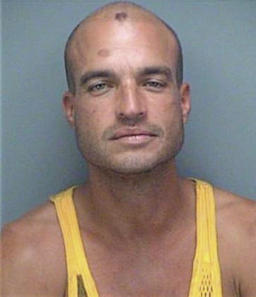 Dzevad Bajric, - Pinellas County, FL 