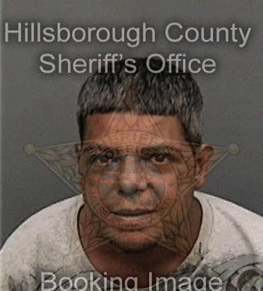 Josean Carasquilloflores, - Hillsborough County, FL 