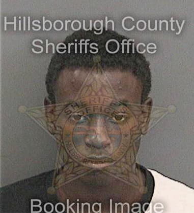 Mark Council, - Hillsborough County, FL 